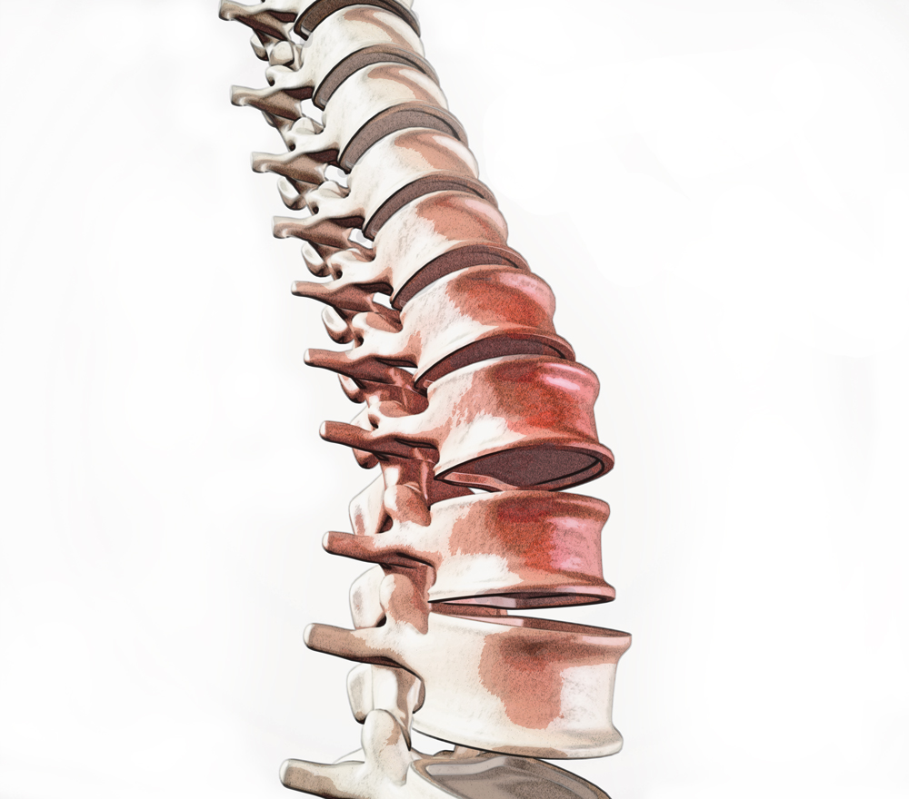 stock-photo-spine-pain-and-lower-back-disease-and-human-backache-with-a-three-dimensional-spinal-body-skeleton-318640694